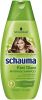 Shampoo Kiwi Glanz