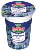 Joghurt Mild Heidelbeer - 3,5 %