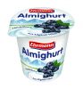 Almighurt Heidelbeere